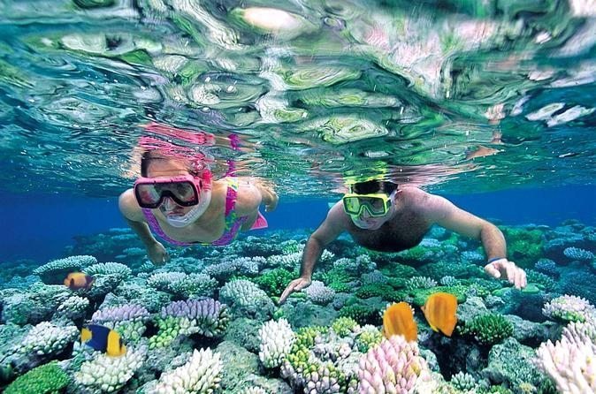 Excursión a Isla Catalina y snorkel
